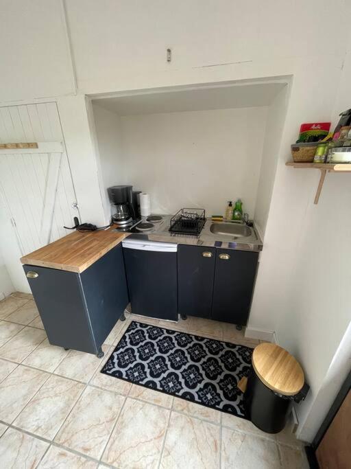 Grande Maison Avec Jardin Guérard エクステリア 写真